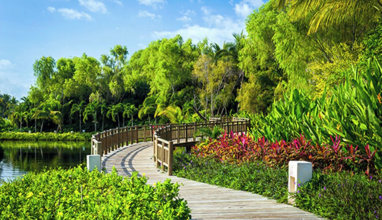 Photo of Outdoor in Las Jarretaderas