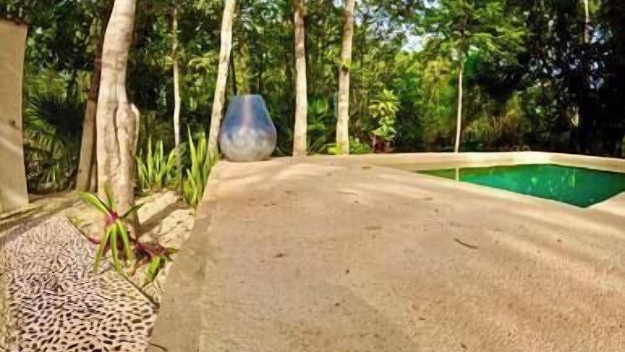 Photo of Outdoor in Puerto Morelos
