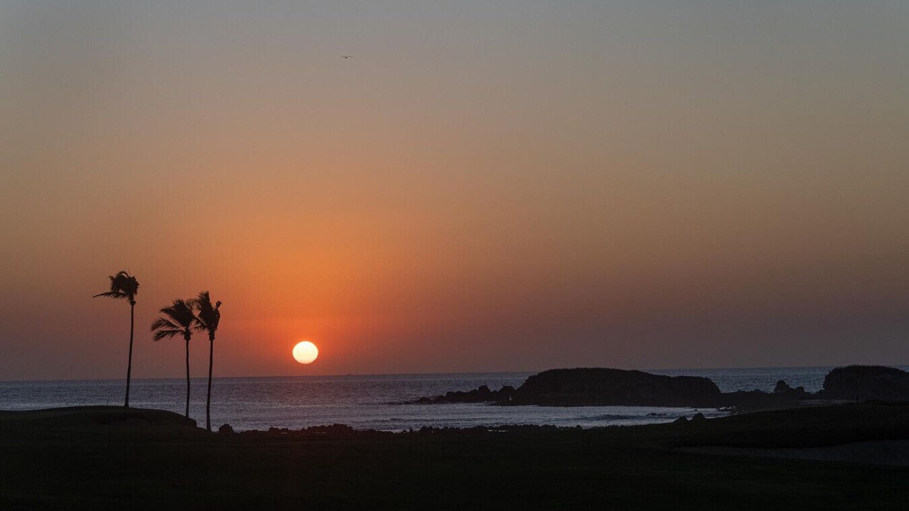 Photo of Others in Punta de Mita