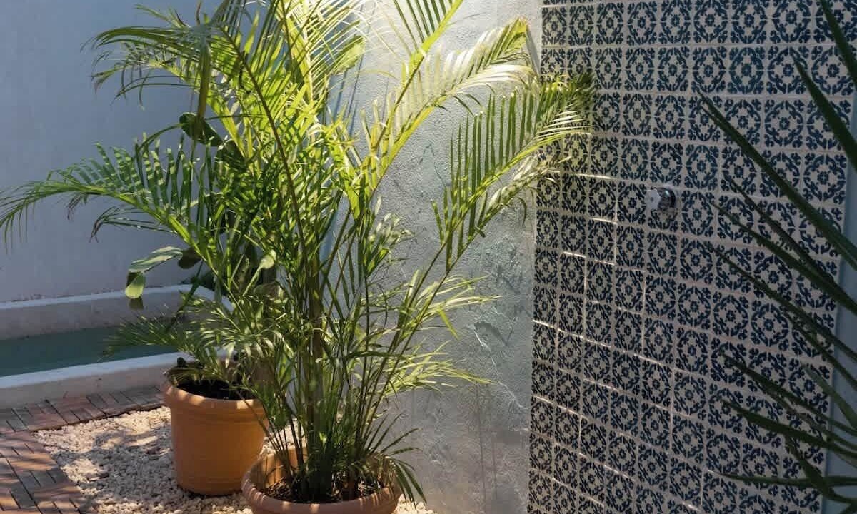Photo of Outdoor in Tulum City Center