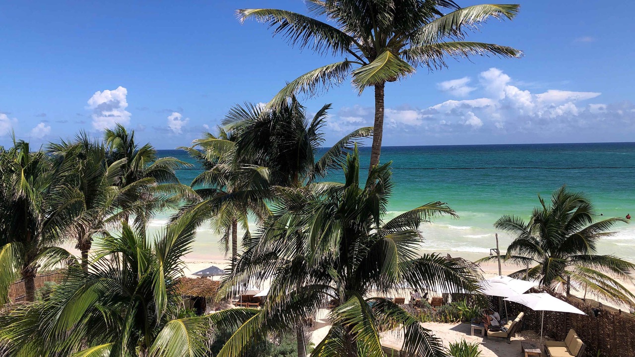 Photo of Others in Tulum City Center
