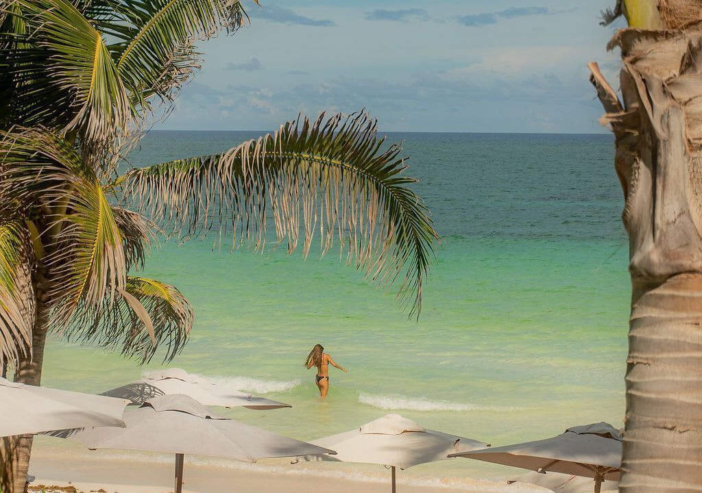 Photo of Others in Tulum City Center