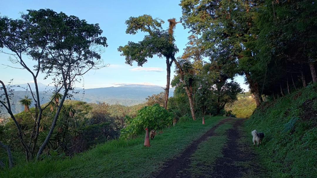 Photo of Others in Naolinco