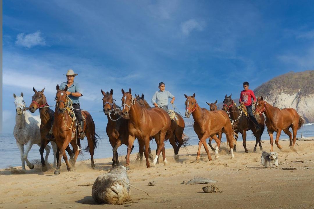 Photo of Others in Costa Careyes
