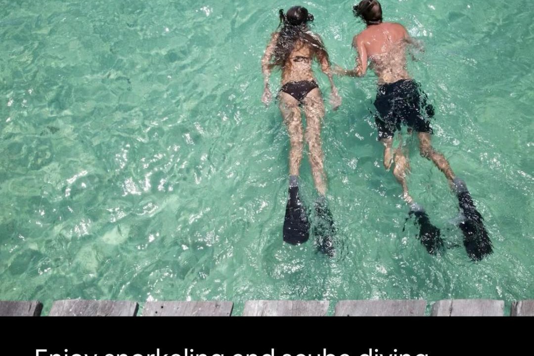 Photo of Others in Puerto Morelos