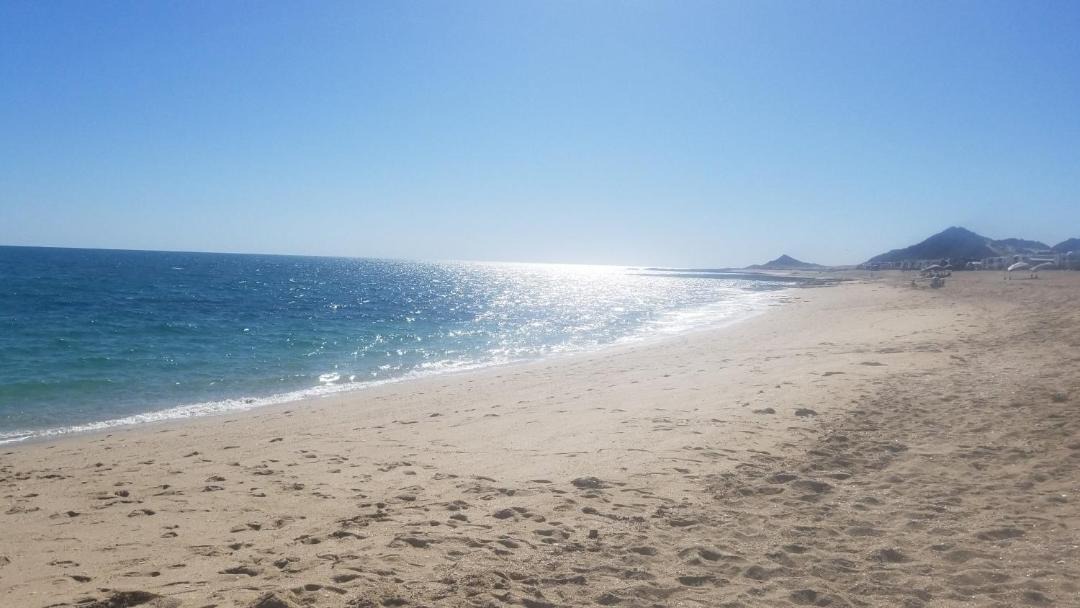 Photo of Others in Cholla Bay