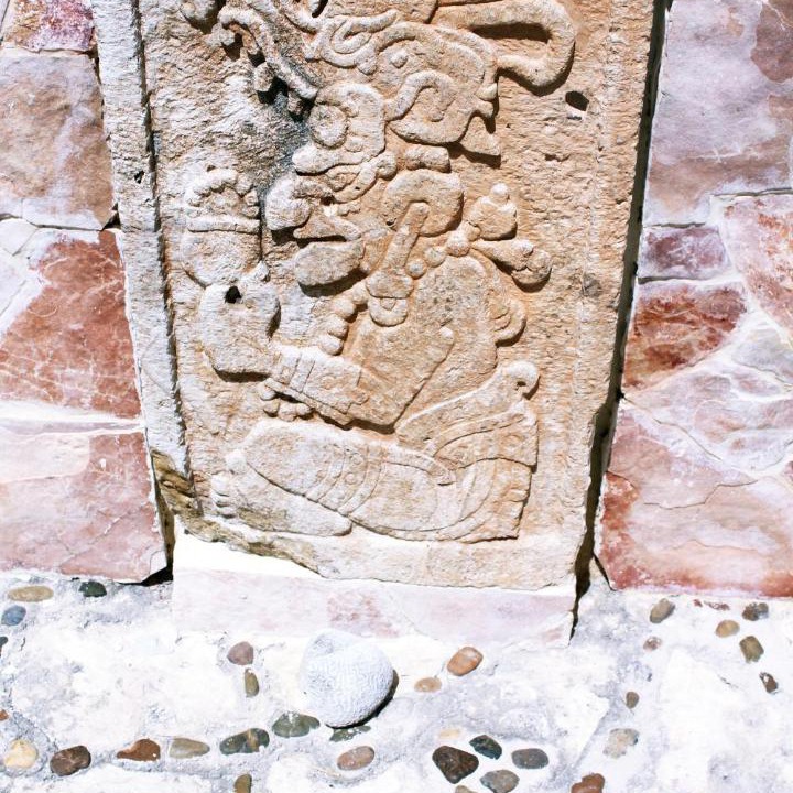 Photo of Others in Chan Chemuyil