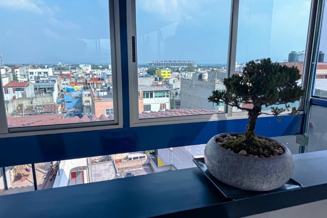 Photo of Others in Coyoacan