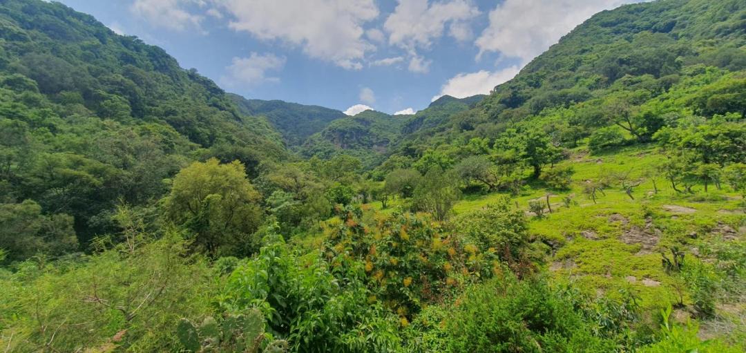 Photo of Others in Malinalco