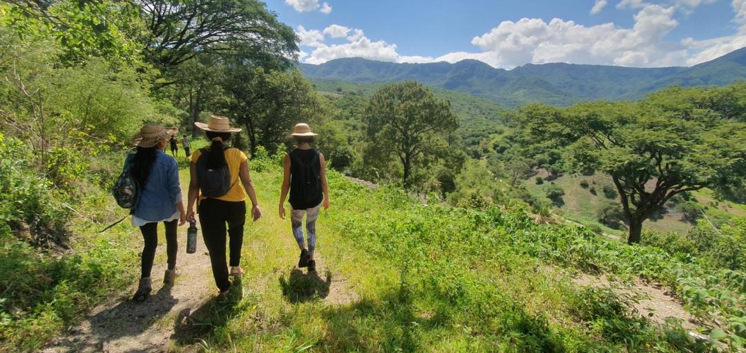 Photo of Others in Malinalco