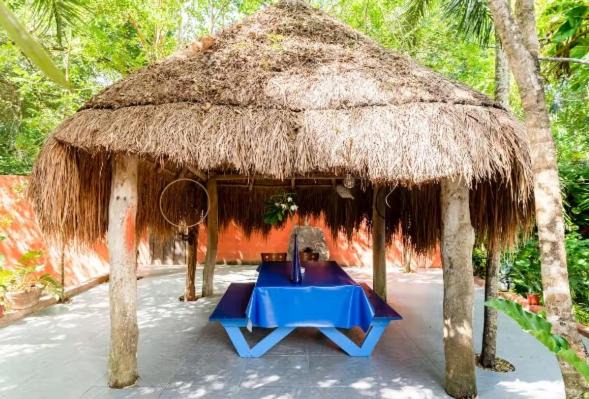 Photo of Others in Akumal