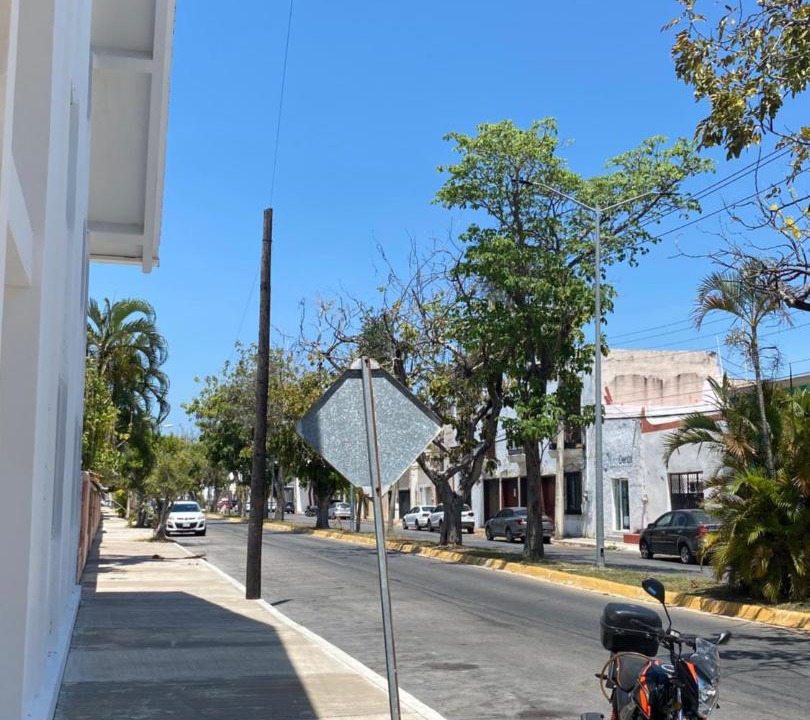 Photo of Others in Campeche