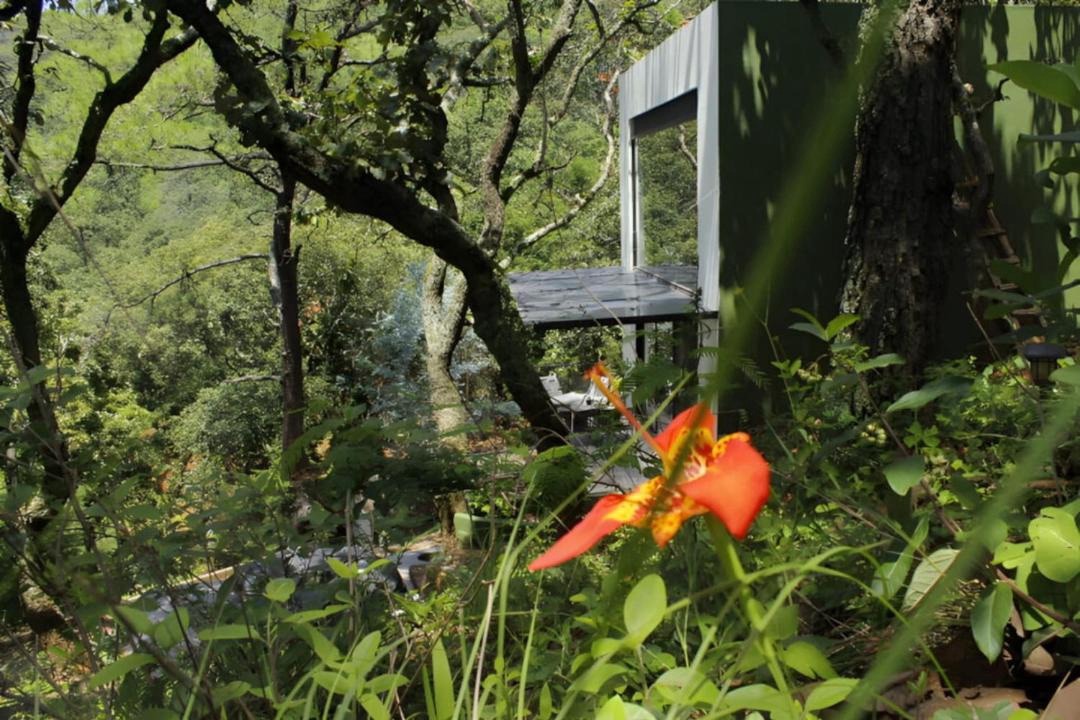 Photo of Others in El Santuario