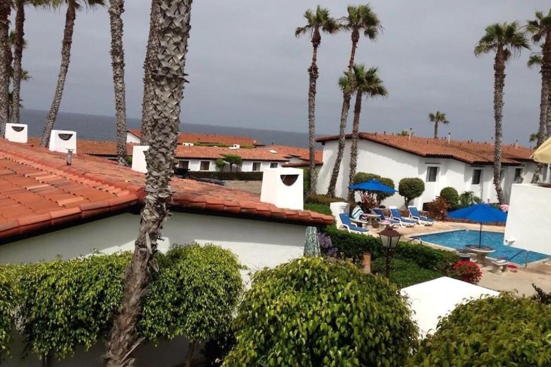 Photo of Others in La Paloma