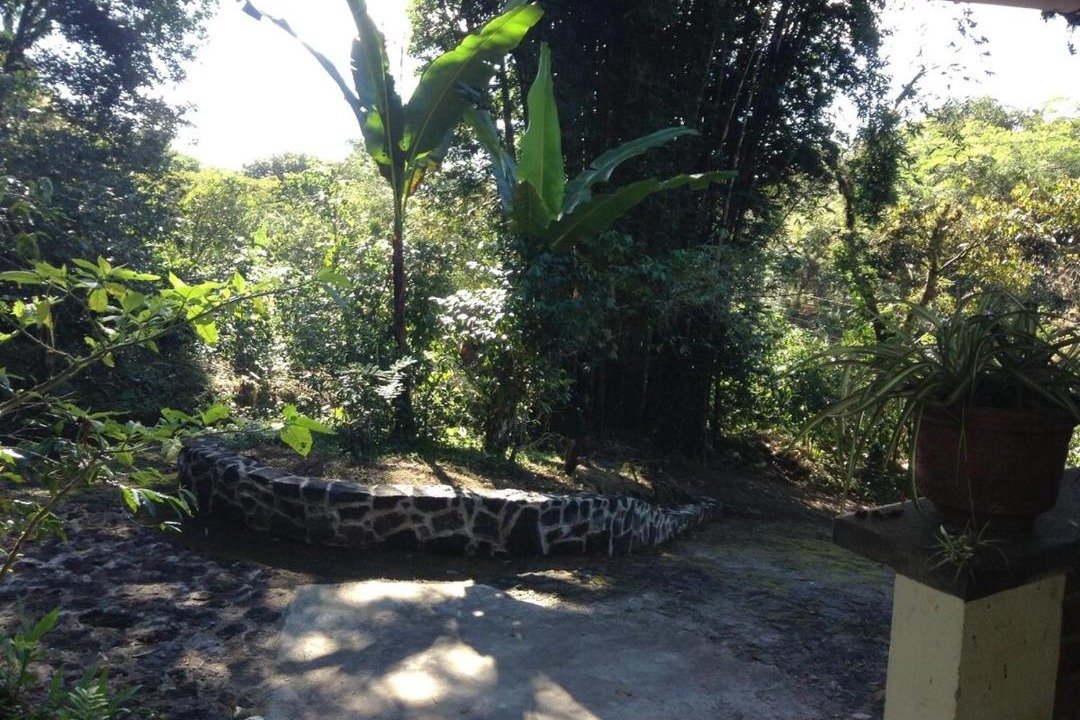 Photo of Others in Coatepec