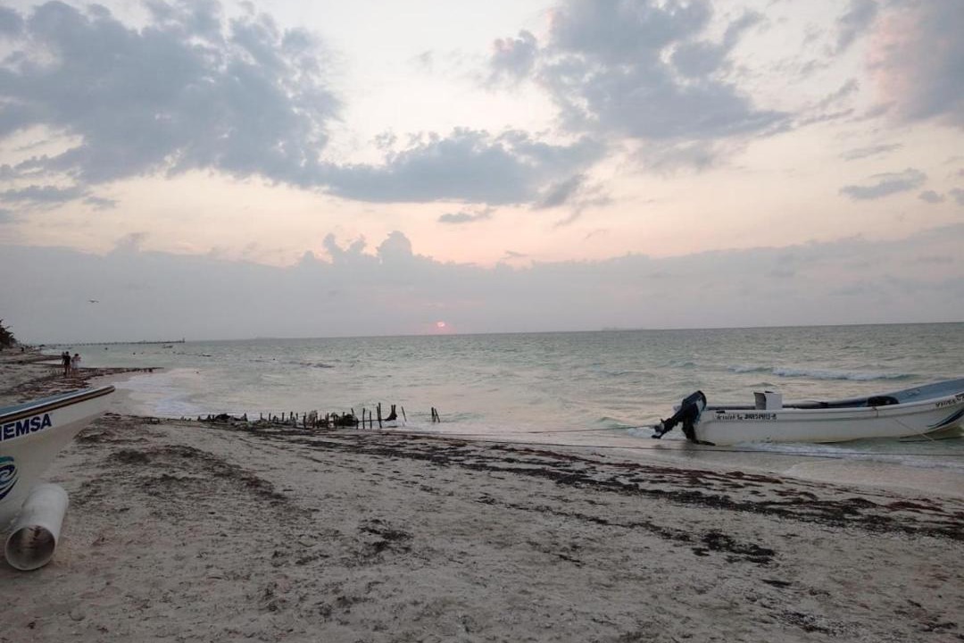 Photo of Others in Chicxulub Puerto