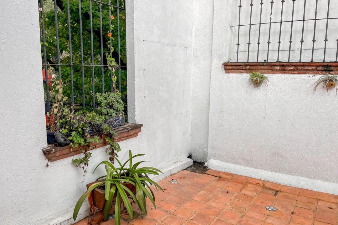 Photo of Others in Coyoacan