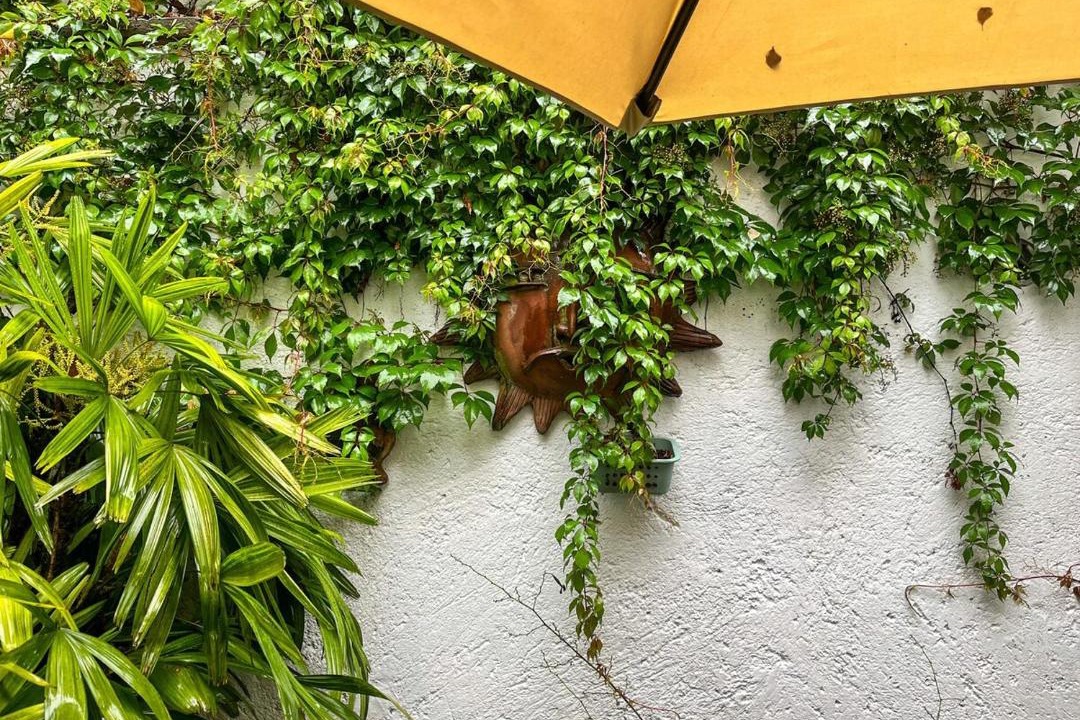 Photo of Others in Coyoacan