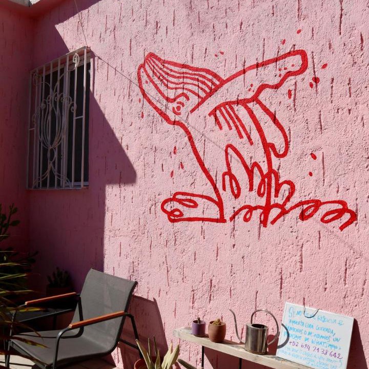 Photo of Others in El Rosarito