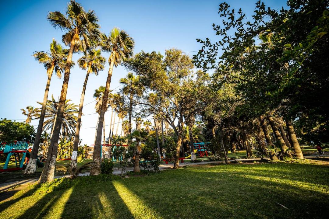 Photo of Others in San Antonio del Mar