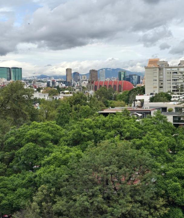 Photo of Others in Polanco