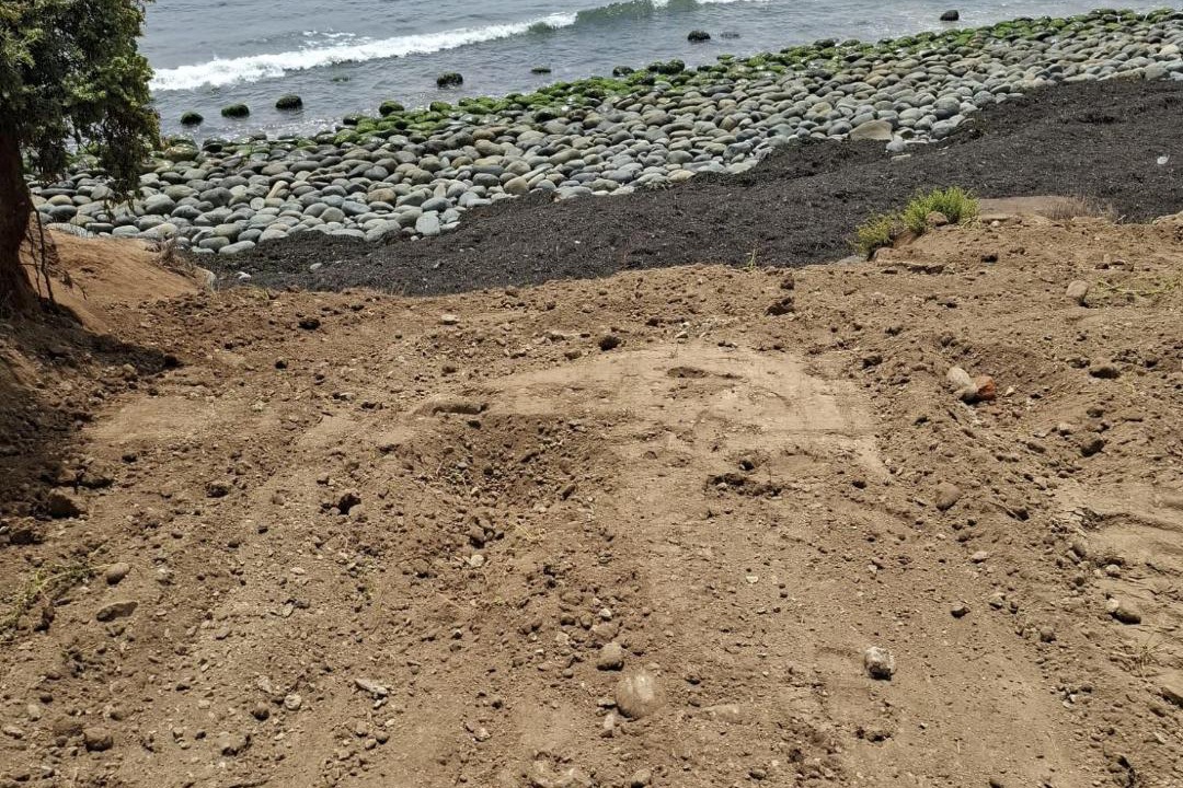 Photo of Others in Playas de Rosarito