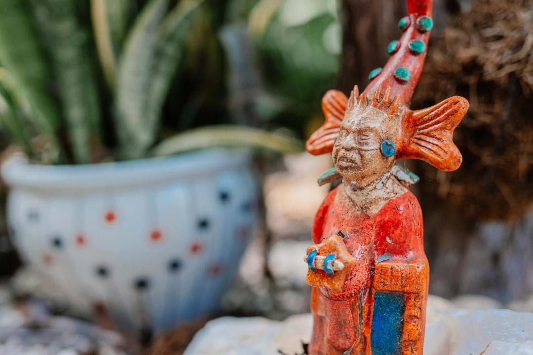 Photo of Others in Puerto Morelos