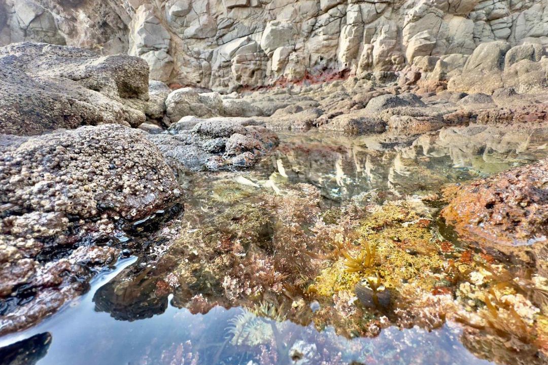 Photo of Others in Playa Encantada