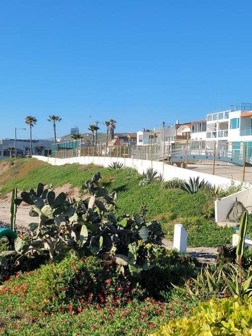 Photo of Others in San Antonio del Mar