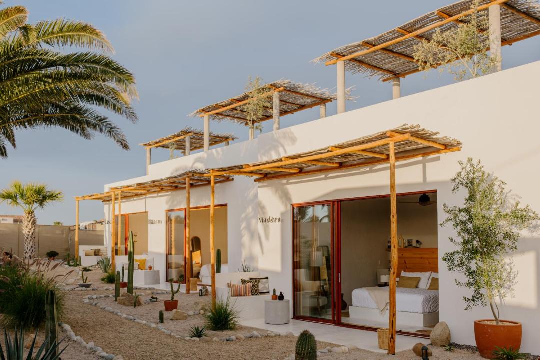 Photo of Others in Todos Santos