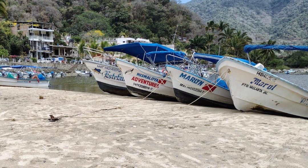 Photo of Others in Boca de Tomatlan