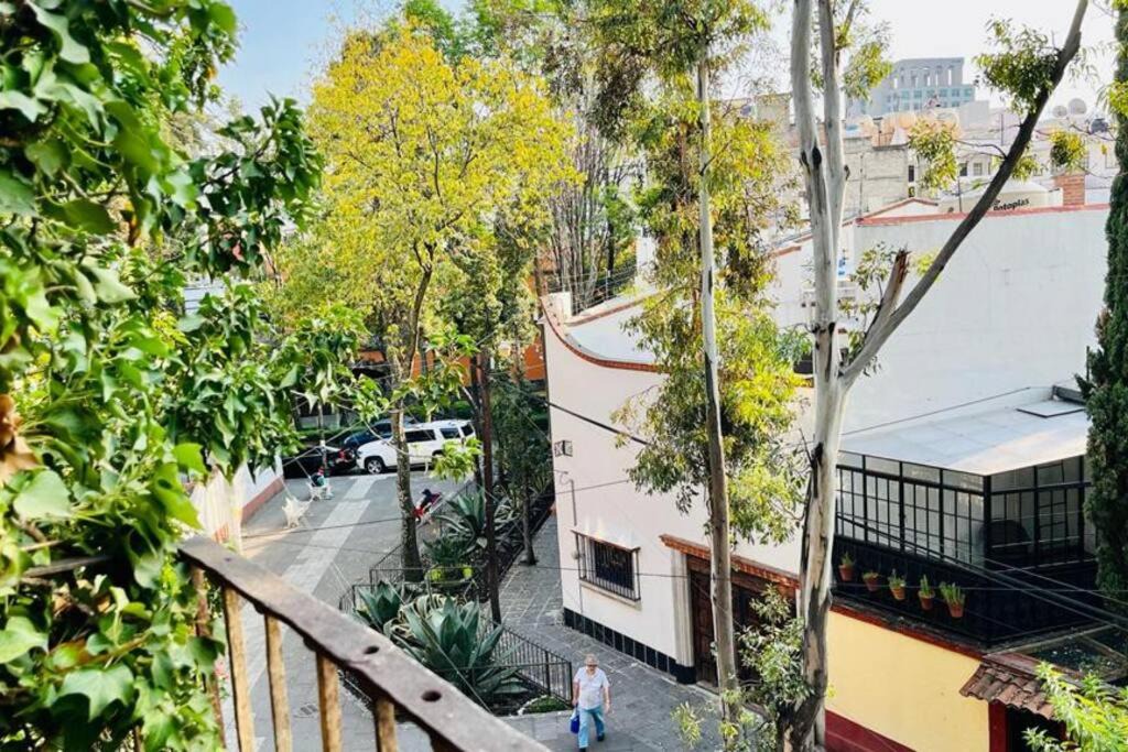 Photo of Others in Coyoacan