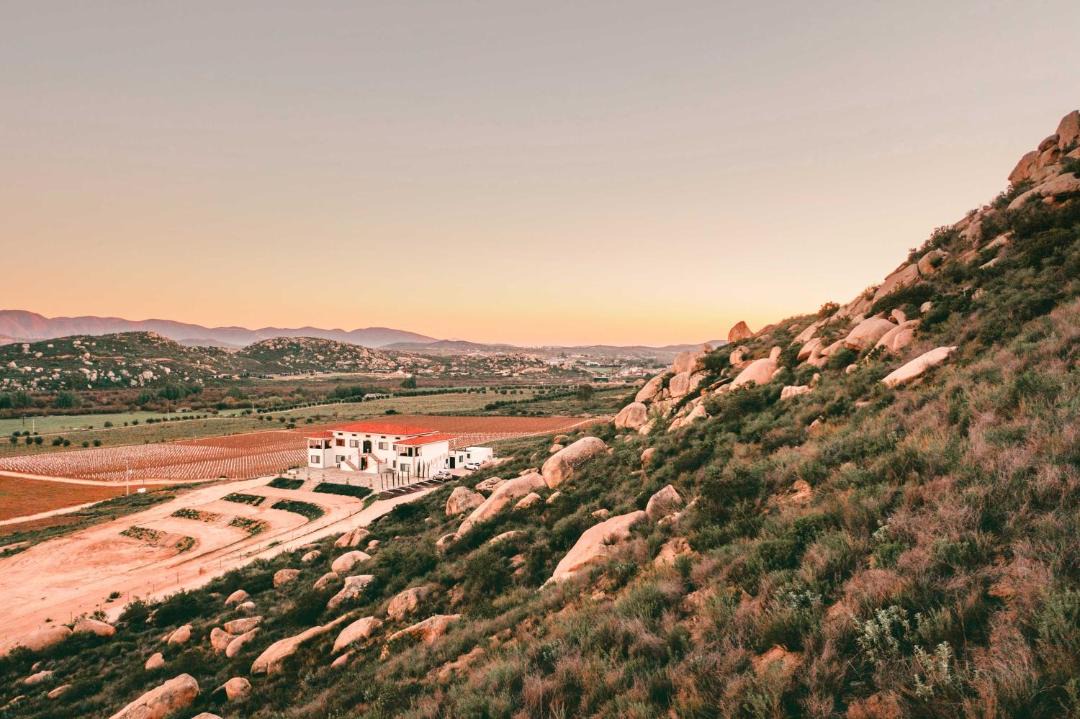 Photo of Others in Valle de Guadalupe