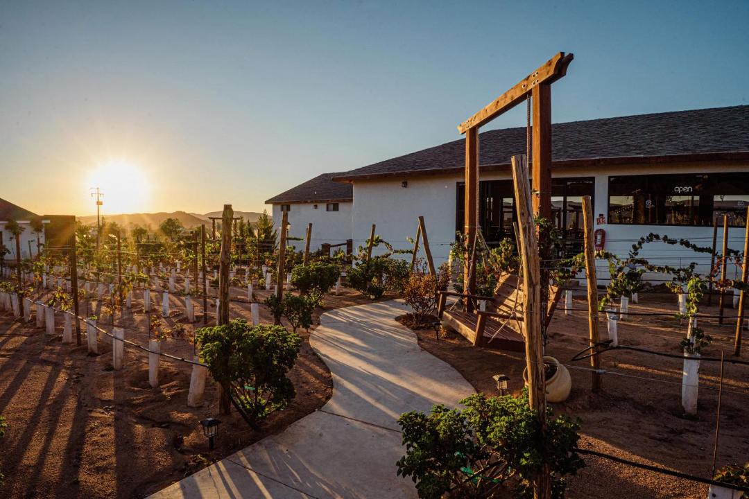 Photo of Others in Valle de Guadalupe