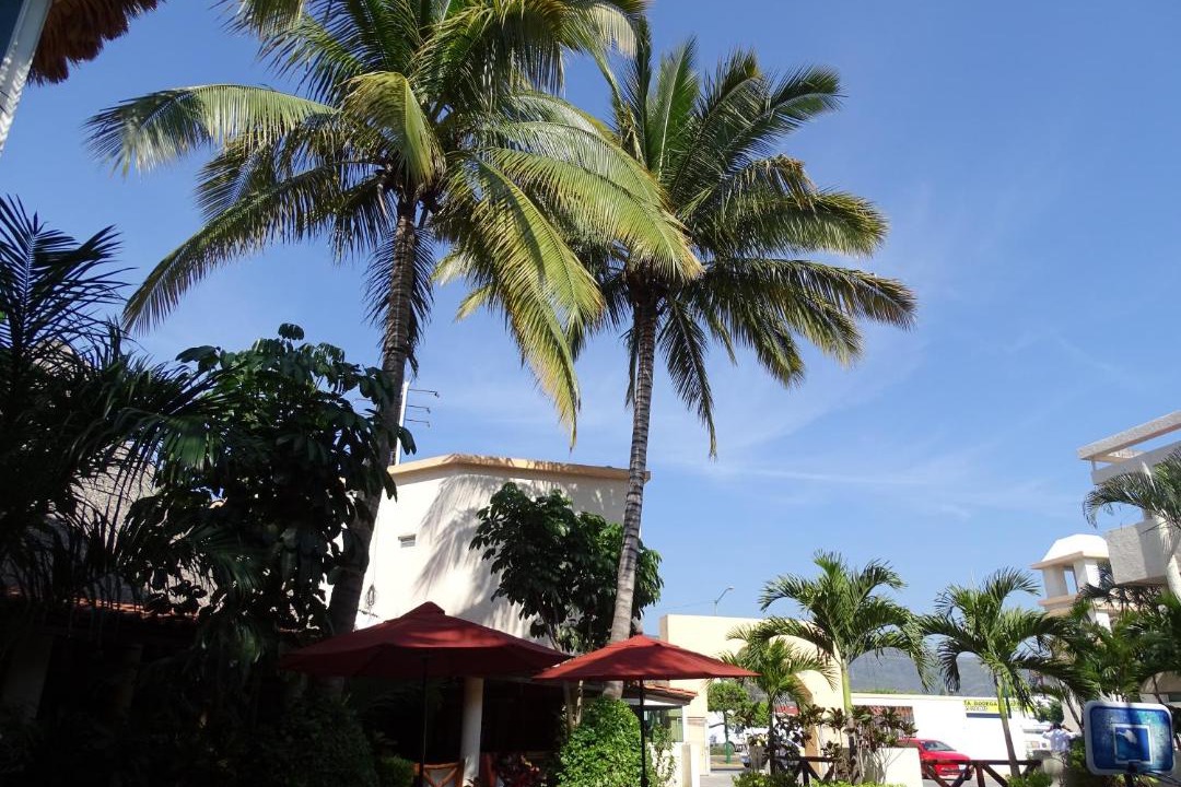Photo of Others in Tuxtla Gutierrez