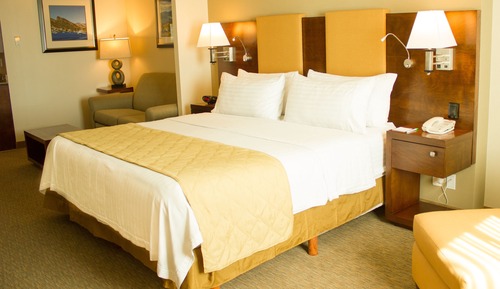 Standard Room, 1 King Bed