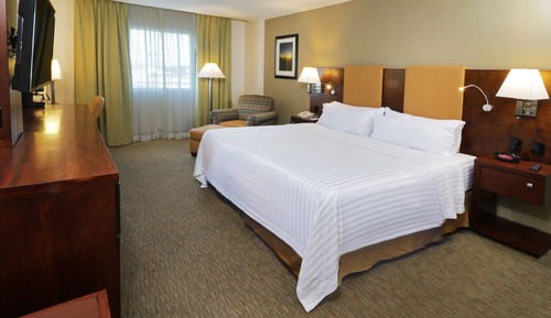 Standard Room, 1 King Bed, Accessible