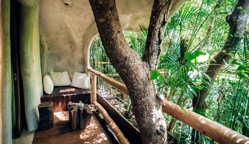 Orchid Suite