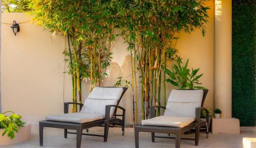 Apartment with Terrace
