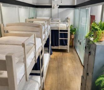 Bed in 6-Bed Mixed Dormitory Room