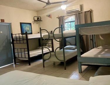 Bed in 8-Bed Dormitory Room