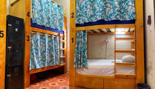 Bed in 6-Bed Mixed Dormitory Room