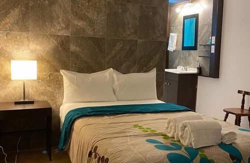 Centro Hotel | Cabo Tortuga Hotel Boutique