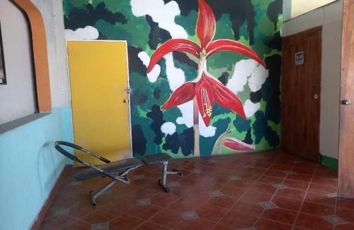 Colonia 5 de Diciembre Hostel | Hostal Luna Vallarta
