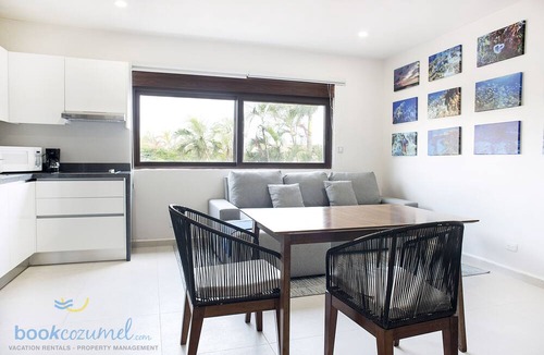 Colonia Centro Condo | Divers Paradise NEW 2 Bedroom Condo w/Rooftop Pool