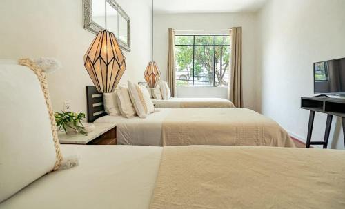 Hipodromo House | Casona en Condesa con patio gigante
