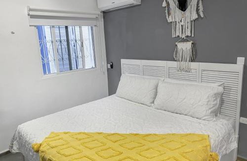 Luis Donaldo Colosio Villa | Luxury 6-Bed 6-Bath- An Entire Private Villa w-plung pool-5th Ave & Beach at walking distance
