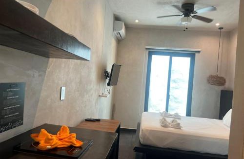 Zazil-ha Hotel | Live Coco Suites - Hotel Boutique & Rooftop