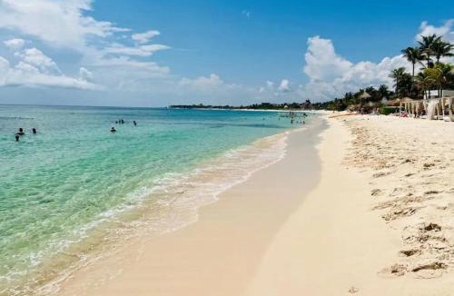 Akumal House | 3 Bedroom Jungle Vibes Condo in Akumal Beach Access Rooftop Pools