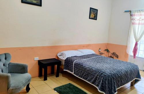 Xico House | EL Jardin De Los Anturios